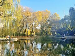 -玲珑塔公园
