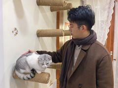 -共舞时光猫咖·狗咖(新街口店)