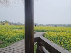 -径山花海