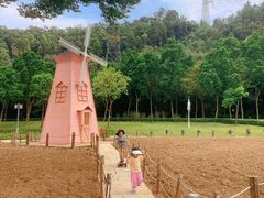 -顺峰山公园