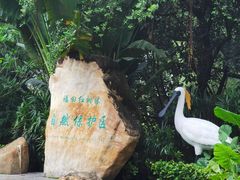 -深圳湾公园(南山区)