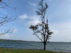 景点-湖光岩风景区