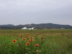 -敕勒川草原