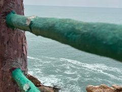 -广东惠东海龟国家级自然保护区
