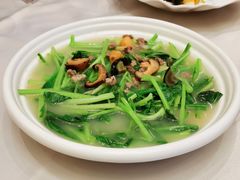 -粤江春·早茶·潮粤菜·宴会(罗湖宝能中心店)