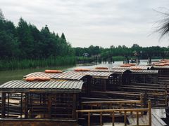 -溱湖国家湿地公园