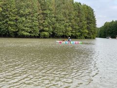 -上海海湾国家森林公园