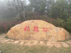 -梧桐山风景名胜区