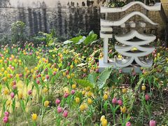 -三溪村