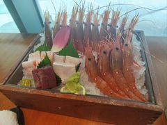 -月龍吟(朝龙汇店)