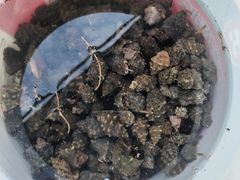 -阿弟特色海鲜餐厅·大排档(平潭店)