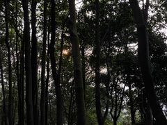 -火炉山森林公园