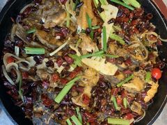 -老板恋上鱼(恒隆广场店)