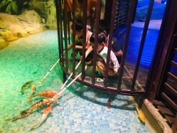 -酷嗒动物文化乐园(cutezoo西溪乐天城店)