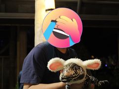 -清迈夜间动物园