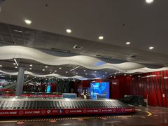 -西沃古尔·拉姆古兰爵士国际机场