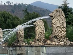 -达蓬山星梦乐园