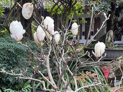 -成都杜甫草堂博物馆