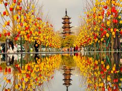 -龙华寺
