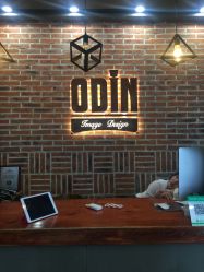 -ODIN 奥丁形象设计 