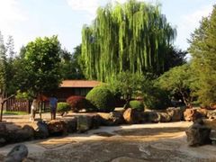 -双秀公园游乐园-欢乐岛