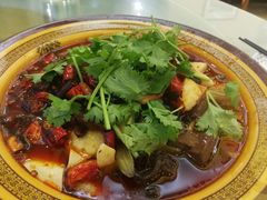 -成都驻京办餐厅(蜀都宾馆店)