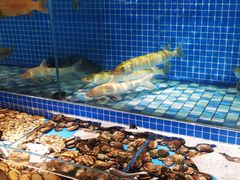 -蓝钻·国际美食海鲜自助百汇(西直门店)