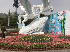 -白马涧龙池景区