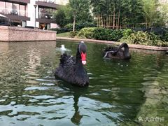 -南京圣和府邸豪华精选酒店