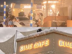 -Blue Concept Cafe&Farm·關於藍
