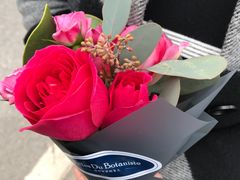 -植物学家的女儿(北马道巷店)