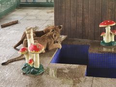 -秦皇岛野生动物园