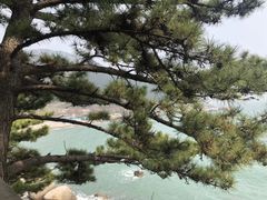 -崂山巨峰游览区