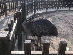-南昌动物园