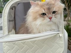 -上海无线电博物馆