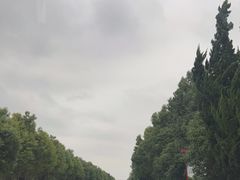 -渌洋湖湿地公园