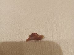 -鸿运酒楼