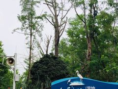 -白鹭湾湿地公园