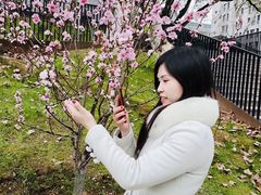 -武汉大学-樱园