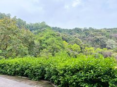 -火炉山森林公园