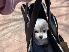 -酷宠动物医院(天通西苑店)