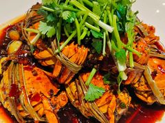 -杨氏青龙虾·羊蝎子(托乐嘉店)