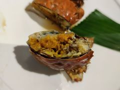 薄壳流膏熟醉六月黄-苏小柳手作点心(控江旭辉分院)