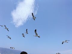 -长岛南北长山旅游景区