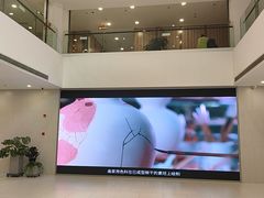 -上海市普陀区文化馆