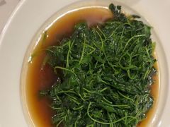 -宋园·金宴浙鲜馆(静安店)