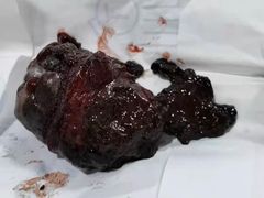 -喜多萌中农锦绣动物医院24H·猫科·牙科MRI·CT