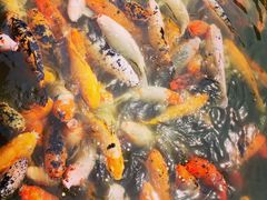-荆川公园