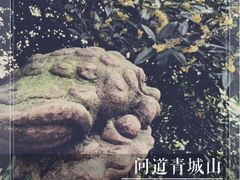 -青城山