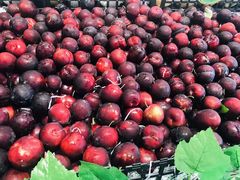 鸡心李（斤）-水果天空(东葛店)